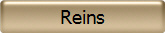 Reins